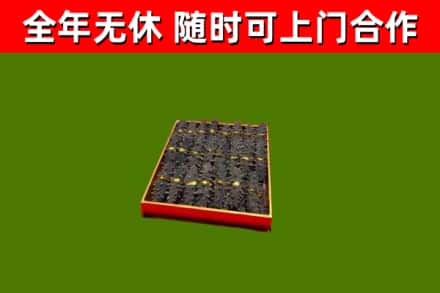 仪征回收海参
